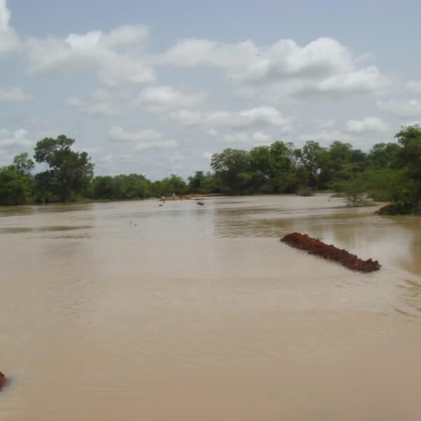 WhatsApp Image 2024-05-03 at 09.58.03 (19)